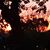 Jackie Cavins's profile image