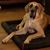 Janet Scully Kerl's profile image