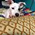 Kyndal Tuttle's profile image