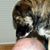 Andrew Hummel-Schluger's profile image