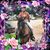 Lacy Gottschalk's profile image