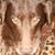Chris Maret's profile image