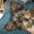 Theresa Zacco's profile image