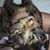Emily Dayan's profile image