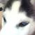 Jun Ji's profile image