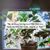 Jill Riggs Scripps's profile image