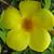 Barb Dalious's profile image