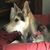 Tatjana Toncic McGuire's profile image