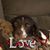 Lori Youmans's profile image