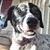Melina Garos's profile image