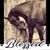Deborah Longbrake's profile image