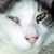 Anna Marie DeHaven's profile image