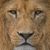 Terrance Leacock's profile image