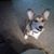 Sharon Vido's profile image