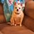 Mike Erlacher's profile image