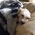 Linda Groff Umble's profile image
