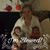 Debra Reier's profile image