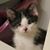 Jill Weissenbach's profile image