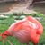 Mary Thomas Richter's profile image