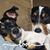 Debbie Horne's profile image
