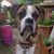 Tracy Brock's profile image