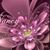 Nancy Strem's profile image