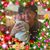 Martha Gastelum's profile image