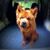 Moby Dylan's profile image