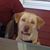 Mitzi Storm's profile image