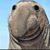 Hunter Fish's profile image