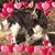 Susan Robinson's profile image