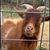 FrankandGinger Knight's profile image