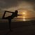 Tara Bries's profile image