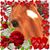 Ellen Mckee's profile image