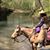Cherie Smith's profile image