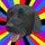 Peter Haywood's profile image