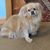 Joanie Naigle's profile image