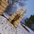 Carol Michelle Vernon's profile image