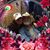 Linda Marzolf Light's profile image