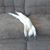 Marge Degrave's profile image