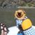 Michelle Little's profile image