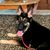 Angie Reier Cash's profile image