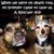 Holly Chatterack's profile image