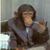 Scotty G's A Clownshoe's profile image