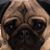 Randie Kelsey Cimino's profile image