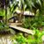 Ngoc Au Ho's profile image