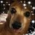 Renee Martin's profile image