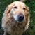 Karen Latshaw Colvin's profile image