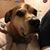 Richie Calderale's profile image