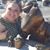 Amy Scholerman Church's profile image